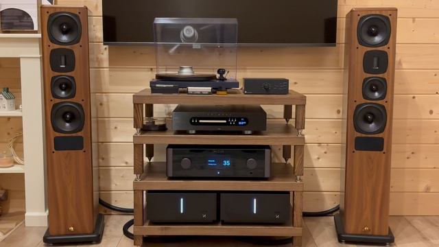 Как звучат кабели: Purist Audio Design Musaeus BiWire Diamond Revision 2.0m ban-ban смотреть онлайн