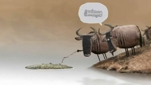 МУЛЬТФИЛЬМ БУЙВОЛЫ