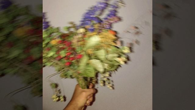 Dagdrøm [1] смотреть онлайн