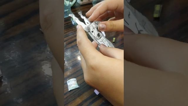 коллекция породистых собак смотреть онлайн