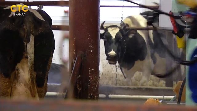 Дайджест 21 08 смотреть онлайн