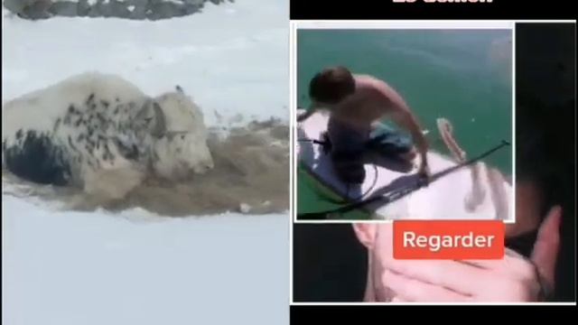 Як на связи смотреть онлайн