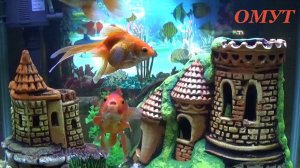 229.ОТ ВСЕЙ ДУШИ БЛАГОДАРЮ!!! И ВАШИ КОММЕНТЫ РОДНЫЕ!!!