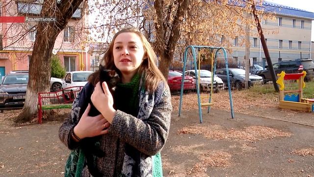 Альметьевец спас котенка, забравшегося на высоту третьего этажа смотреть онлайн