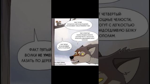 Озвучка комиксов про животных "Белка и Волк" смотреть онлайн