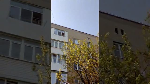 Это на канале Сити кет смотреть онлайн