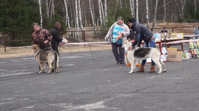 СРАВНЕНИЕ (рабочий класс) смотреть онлайн