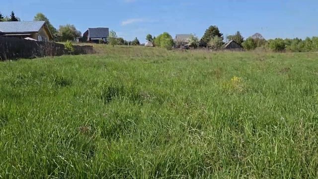 куропатка Курцхаар Рика смотреть онлайн