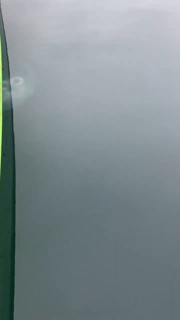 This is why we paddle: Jellyfish смотреть онлайн