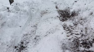 Расскажу про Иван чай,прогуляемся по дороге,Михайловна расскажет о себе