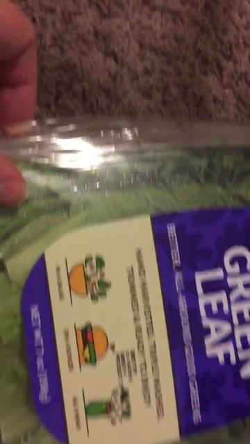 Opening Green Leaf Salad Box for Guinea Pigs смотреть онлайн