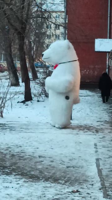 Медведи в городе. смотреть онлайн
