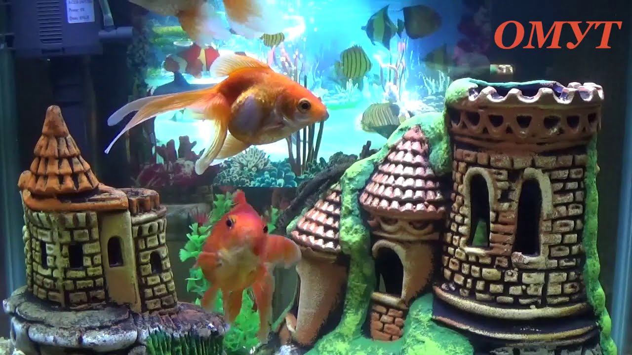 305. ПРИЗОВЁМ ВРАГА к ОТВЕТУ... смотреть онлайн