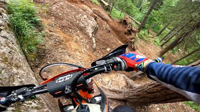 ШУСТРАЯ БЕЛКА 🐿️. ДЕНЬ 2 смотреть онлайн