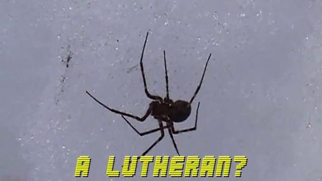 The Alaskan Snow Spider смотреть онлайн