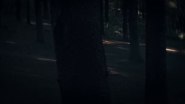 Felix – Unfair смотреть онлайн