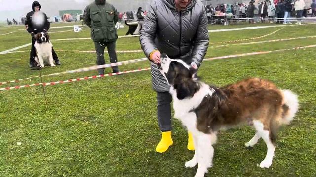 MECHTA ZOLOTOFF GRADAS RUSSKOY DUSHOY смотреть онлайн