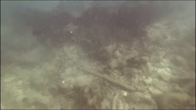 Snorkeling at Alligator Reef Light смотреть онлайн