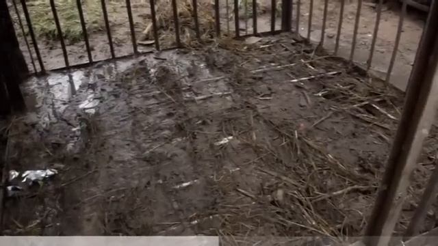 Александр Гагулин смотреть онлайн