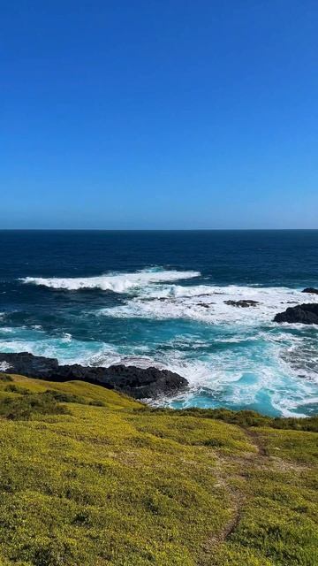 Как выглядит остров Филлип в Австралии? смотреть онлайн