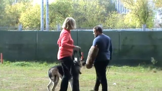 ВЕО Маренго Сан Шайн Мэгги ЗКС Атака на рукав с давлением и стеком 1209 2020 смотреть онлайн