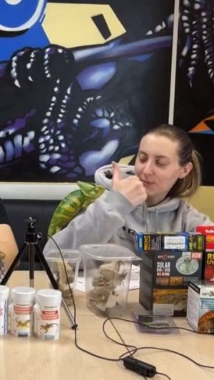 Нападение хамелеона на человека! 😧 Заметки с нашего стрима) #ящерица #экзотика #хамелеон