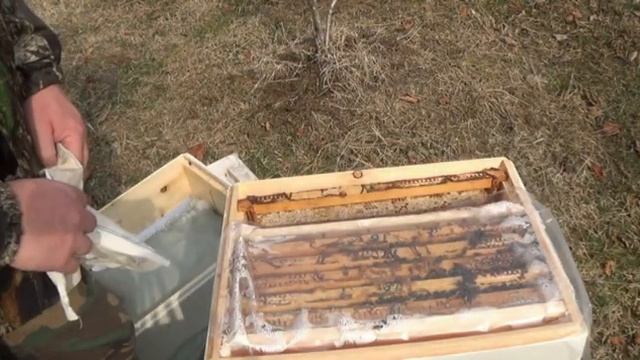 22 февраля на пасеке смотреть онлайн