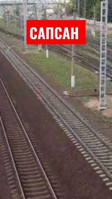 САПСАН смотреть онлайн