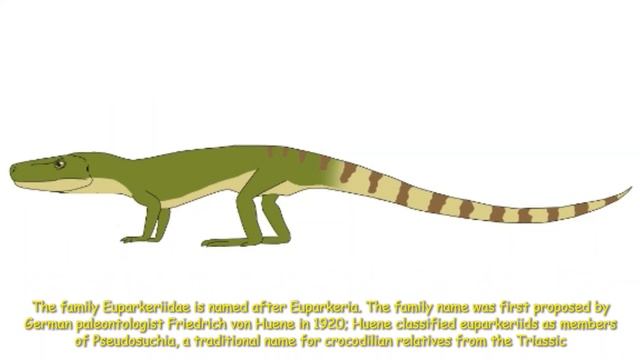 Paleo Facts Euparkeria смотреть онлайн