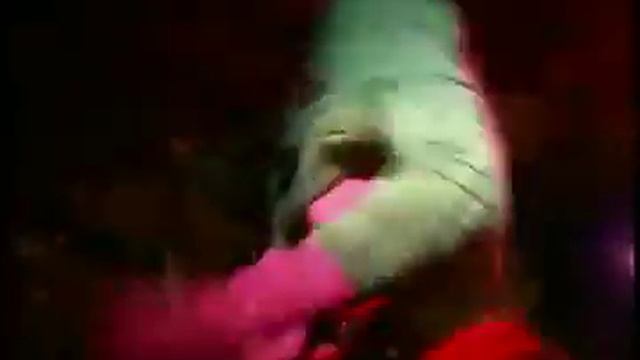 Gogol Bordello - Gypsy Punks - I Would Never Wanna Be Young Again Video смотреть онлайн