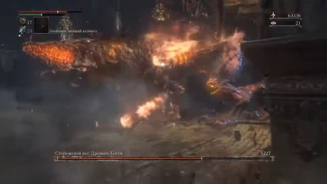 Люблю собак смотреть онлайн