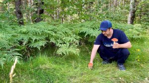 Грибы и Грибники в летнем лесу! Результат порадовал!