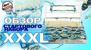 ОБЗОР И ЗАСЕЛЕНИЕ В ANTSMINSK XXXL 2025