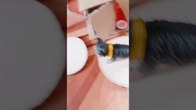 9 апреля 2023 г. смотреть онлайн