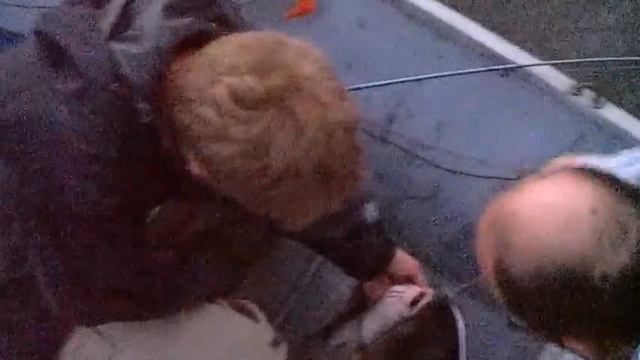 fishing video смотреть онлайн