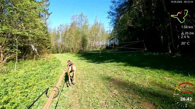 Драйленд Весенний Драйв 2024, DS1 M, Вуди, 2-ой этап / Dryland Spring Drive 2024, DS1 M, second rac смотреть онлайн