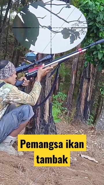 berburu burung pemakan ikan#shortvideo смотреть онлайн