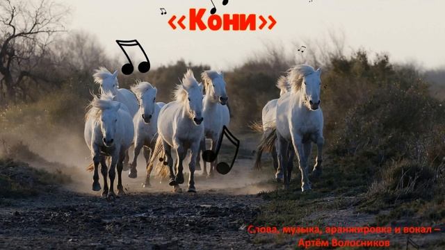 Кони (Муз. и сл. А.Волосников) смотреть онлайн