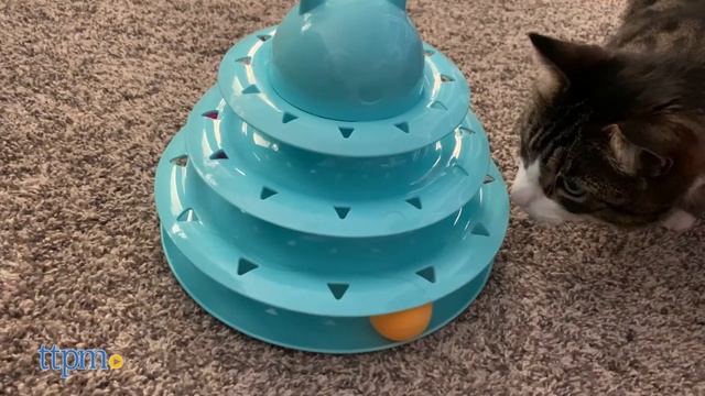 Kitties Review Cat Toy Towers! Which One Is More Fun For Your Cat? смотреть онлайн