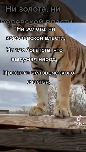 лев смотреть онлайн