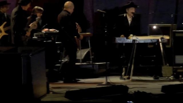 Leopard Skin Pill Box Hat