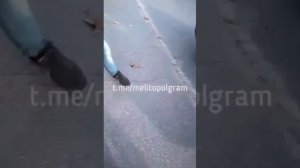 Поймали на поисках закладки