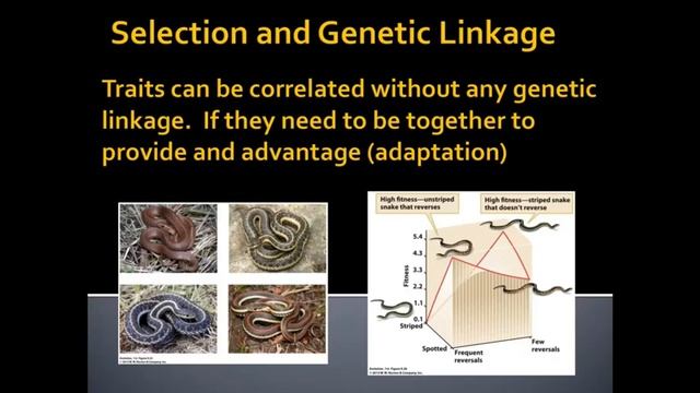 Unit 2 5 2 Frequency Dependent Natural Selection and Genetic Linkage default смотреть онлайн