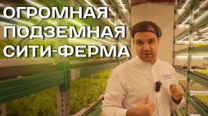 Огромная сити-ферма I 1500 килограмм продукции в месяц