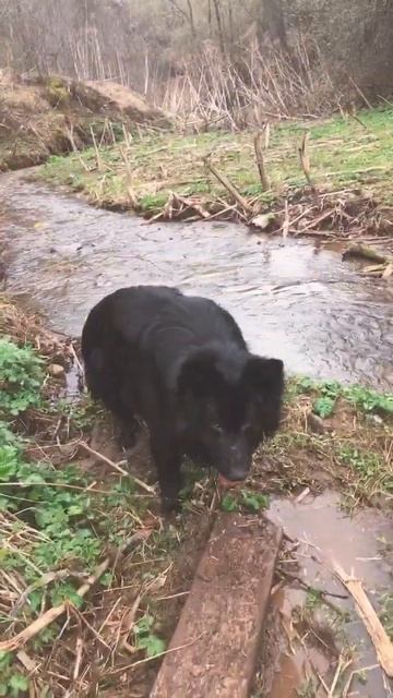 30 апреля 2023 г. смотреть онлайн