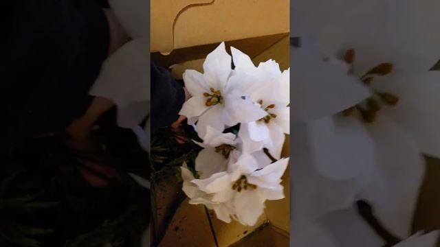 MICHAELS $4.00 GRAB BAG PT.1 смотреть онлайн