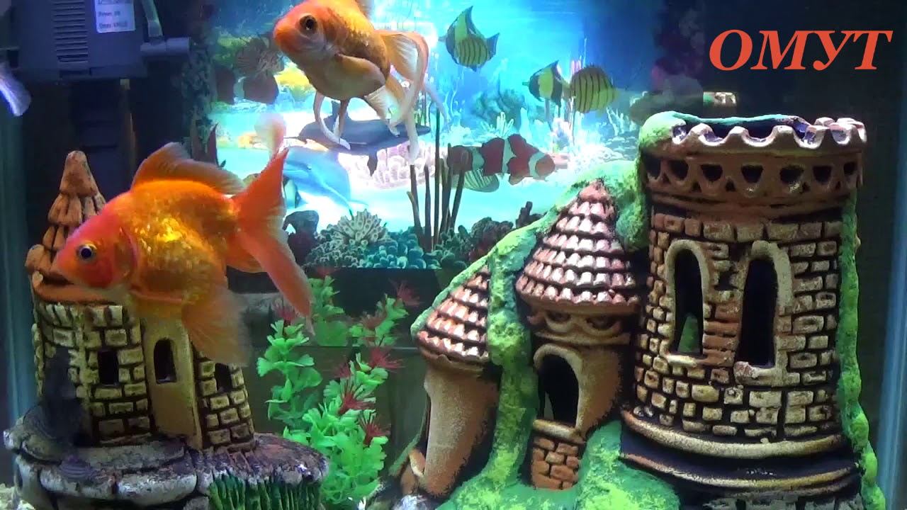 292. ВАШИ КОММЕНТЫ и НЕ ТОЛЬКО... смотреть онлайн