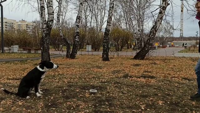 Сидеть из стоять через обратное наведение смотреть онлайн