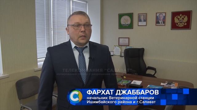 Ветеринарный многофункциональный центр в Салавате смотреть онлайн