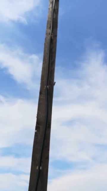 Пение цикады. Кабардинка, Scala Camping смотреть онлайн